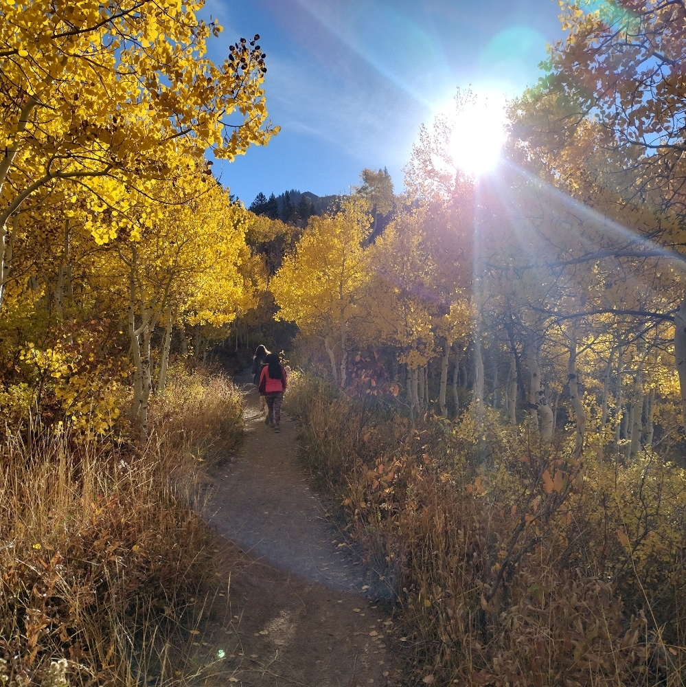 Welcome to my closet 💚 !!!!!! - Picture 12 of 16